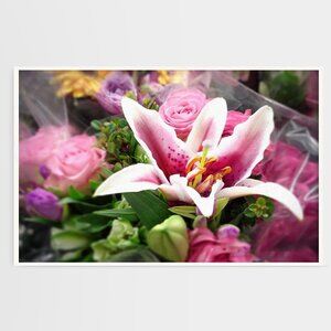 12x18 Asiatic Lily Rosella’s Dream Pink Flowers Oil Painting Art Poster Print‎